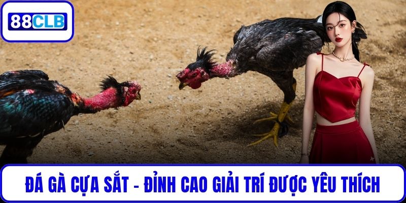 Đá Gà Cựa Sắt – Đỉnh Cao Giải Trí Được Yêu Thích Tại 88CLB