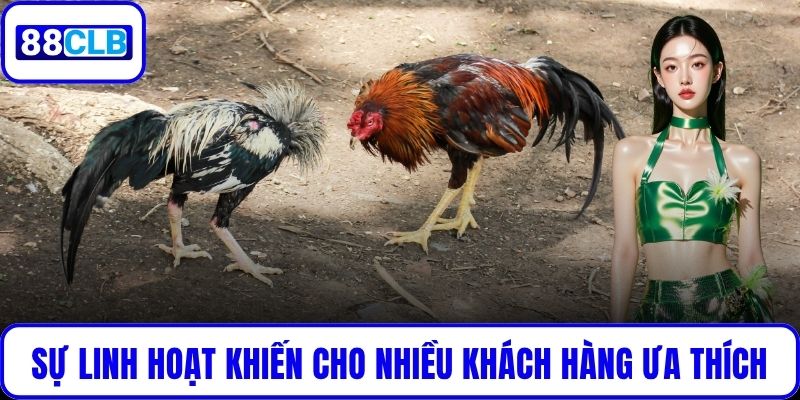 Sự linh hoạt khiến cho nhiều khách hàng ưa thích